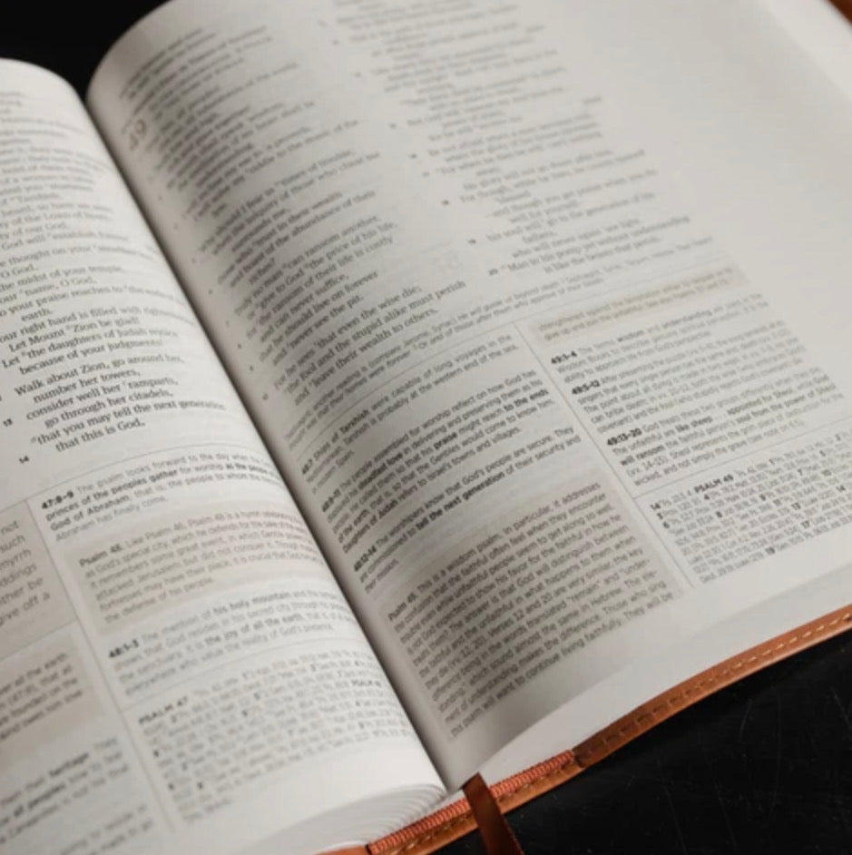 ESV JOURNALING STUDY BIBLE | LILY OF THE VALLEY