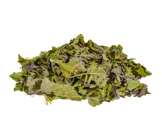 Anise Hyssop – Regenerative Organic Certified®